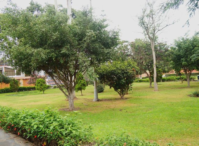 place photo 44