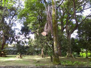 VENTA DE FINCA EN SAN JERONIMO