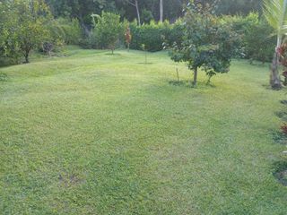 VENTA DE FINCA EN SAN JERONIMO