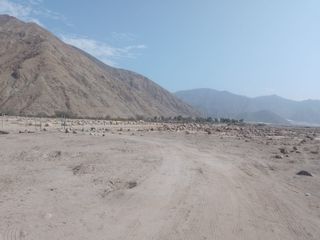 SE VENDE 15 HECTARIAS DE TERRENO EN CHICA CAÑETE