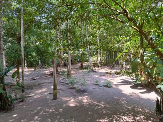 Foto 41 de CENTRO TURÍSTICO RECREACIONAL RECONOCIDO A NIVEL NACIONAL