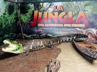 Foto 16 de CENTRO TURÍSTICO RECREACIONAL RECONOCIDO A NIVEL NACIONAL
