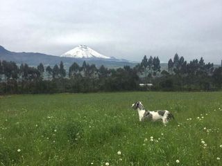 Foto 1 de Con La Tranquilidad de Vivir en Comunidad: 2.8 Has Planas y con Arboles