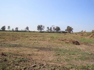 Foto 6 de Oportunidad: Venda de Lotes en Urbanización Pisco