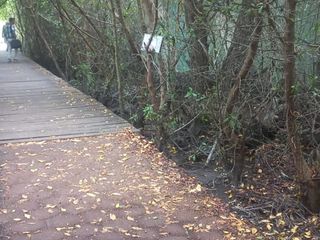 Foto 5 de Terreno a lado de laguna Las Ninfas , isla Santa Cruz