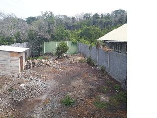 Foto 8 de Terreno a lado de laguna Las Ninfas , isla Santa Cruz