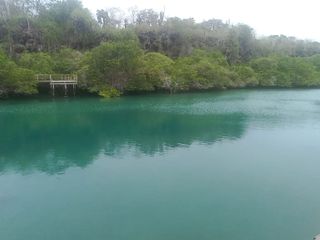 Terreno a lado de laguna Las Ninfas , isla Santa Cruz