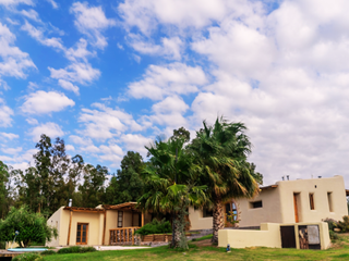 Foto 2 de Increíble casa en el corazón de Mendoza, ideal turismo o vivienda - 4 ha y 480 m2 cubiertos