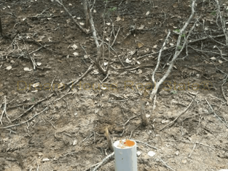 Foto 22 de BAJO DE PRECIO EXCELENTE TERRENO EN VENTA IDEAL PARA INVERSIONISTA  57 HECTAREAS - AMAZONAS