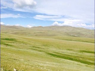 Foto 4 de ¡Gran Oportunidad de Inversión en Chumbivilcas, Cusco! 🌄