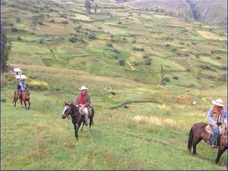 Foto 2 de ¡Gran Oportunidad de Inversión en Chumbivilcas, Cusco! 🌄