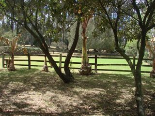 Foto 13 de Casa Campestre en Vereda La Esmeralda, Tocancipa, c.v. 1559