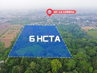Vendo 6 hectáreas sector la Lorena