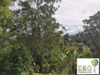 Finca en arriendo en Rionegro (Antioquia) sector los pinos