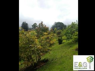 Finca en arriendo en Rionegro (Antioquia) sector los pinos