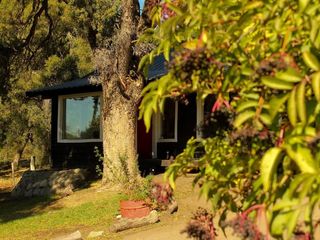 Foto 59 de San Martin de los Andes - Complejo de Cabaña con proyecto de ampliación- Ruta 62