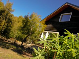 Foto 48 de San Martin de los Andes - Complejo de Cabaña con proyecto de ampliación- Ruta 62