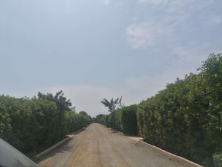 Foto 10 de Se Vende Amplia Casa De Campo En Cañete Imperial