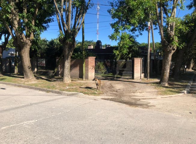 place photo 17