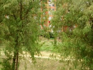 Foto 6 de VENDO CASA  CON OCHO GARAJES