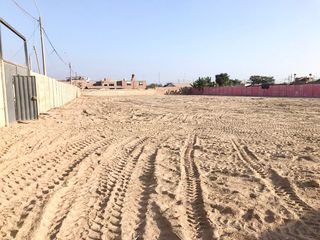Foto 5 de Alquilo de Terreno 3700 m2 en Sunampe Chincha