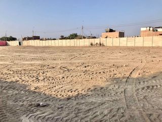 Foto 4 de Alquilo de Terreno 3700 m2 en Sunampe Chincha