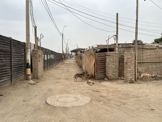Foto 8 de Alquilo de Terreno 3700 m2 en Sunampe Chincha
