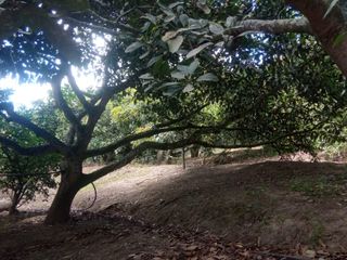Foto 45 de VENTA TERRENO URB. EL REFUGIO SAN ELIAS