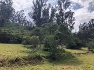 Foto 8 de VENTA TERRENO URB. EL REFUGIO SAN ELIAS