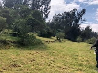 Foto 6 de VENTA TERRENO URB. EL REFUGIO SAN ELIAS