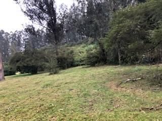 Foto 4 de VENTA TERRENO URB. EL REFUGIO SAN ELIAS