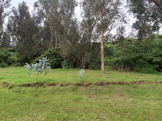 Foto 33 de VENTA TERRENO URB. EL REFUGIO SAN ELIAS