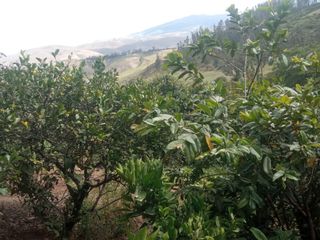 Foto 44 de VENTA TERRENO URB. EL REFUGIO SAN ELIAS