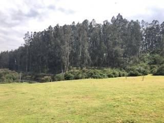 Foto 5 de VENTA TERRENO URB. EL REFUGIO SAN ELIAS