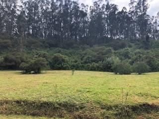 Foto 24 de VENTA TERRENO URB. EL REFUGIO SAN ELIAS