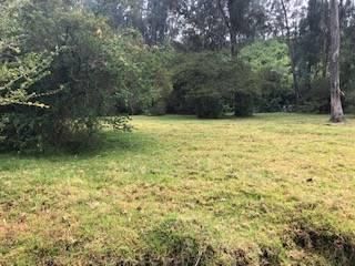 Foto 7 de VENTA TERRENO URB. EL REFUGIO SAN ELIAS