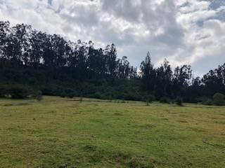Foto 14 de VENTA TERRENO URB. EL REFUGIO SAN ELIAS