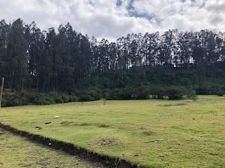 Foto 21 de VENTA TERRENO URB. EL REFUGIO SAN ELIAS
