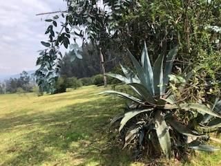 Foto 20 de VENTA TERRENO URB. EL REFUGIO SAN ELIAS