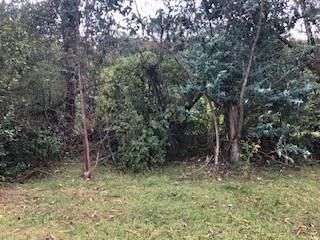 Foto 15 de VENTA TERRENO URB. EL REFUGIO SAN ELIAS