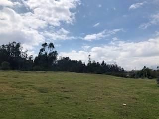 Foto 22 de VENTA TERRENO URB. EL REFUGIO SAN ELIAS