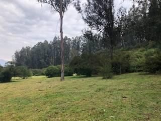 Foto 3 de VENTA TERRENO URB. EL REFUGIO SAN ELIAS