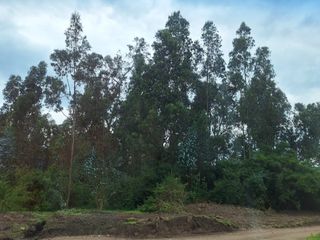 Foto 30 de VENTA TERRENO URB. EL REFUGIO SAN ELIAS