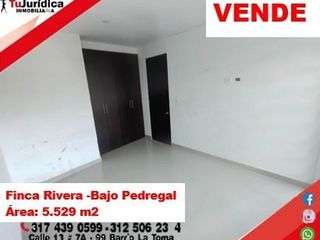 VENDE ESPECTACULAR CASA CAMPESTRE - BAJO PEDREGAL (RIVERA - HUILA)