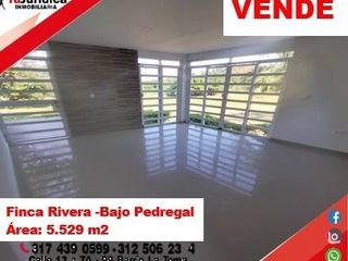 VENDE ESPECTACULAR CASA CAMPESTRE - BAJO PEDREGAL (RIVERA - HUILA)