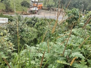 Foto 10 de VENDO TERRENO SECTOR MINDO, AMPLIO IDEAL PARA SUS DIAS EN FAMILIA FUERA DE LA GRAN CIUDAD