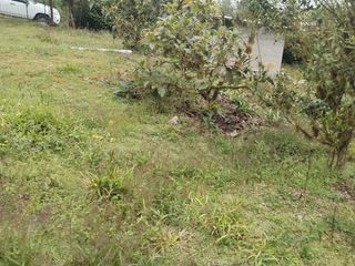 Foto 9 de VENDO TERRENO SECTOR MINDO, AMPLIO IDEAL PARA SUS DIAS EN FAMILIA FUERA DE LA GRAN CIUDAD