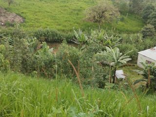 Foto 11 de VENDO TERRENO SECTOR MINDO, AMPLIO IDEAL PARA SUS DIAS EN FAMILIA FUERA DE LA GRAN CIUDAD