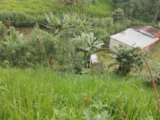 Foto 6 de VENDO TERRENO SECTOR MINDO, AMPLIO IDEAL PARA SUS DIAS EN FAMILIA FUERA DE LA GRAN CIUDAD