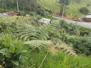 Foto 5 de VENDO TERRENO SECTOR MINDO, AMPLIO IDEAL PARA SUS DIAS EN FAMILIA FUERA DE LA GRAN CIUDAD